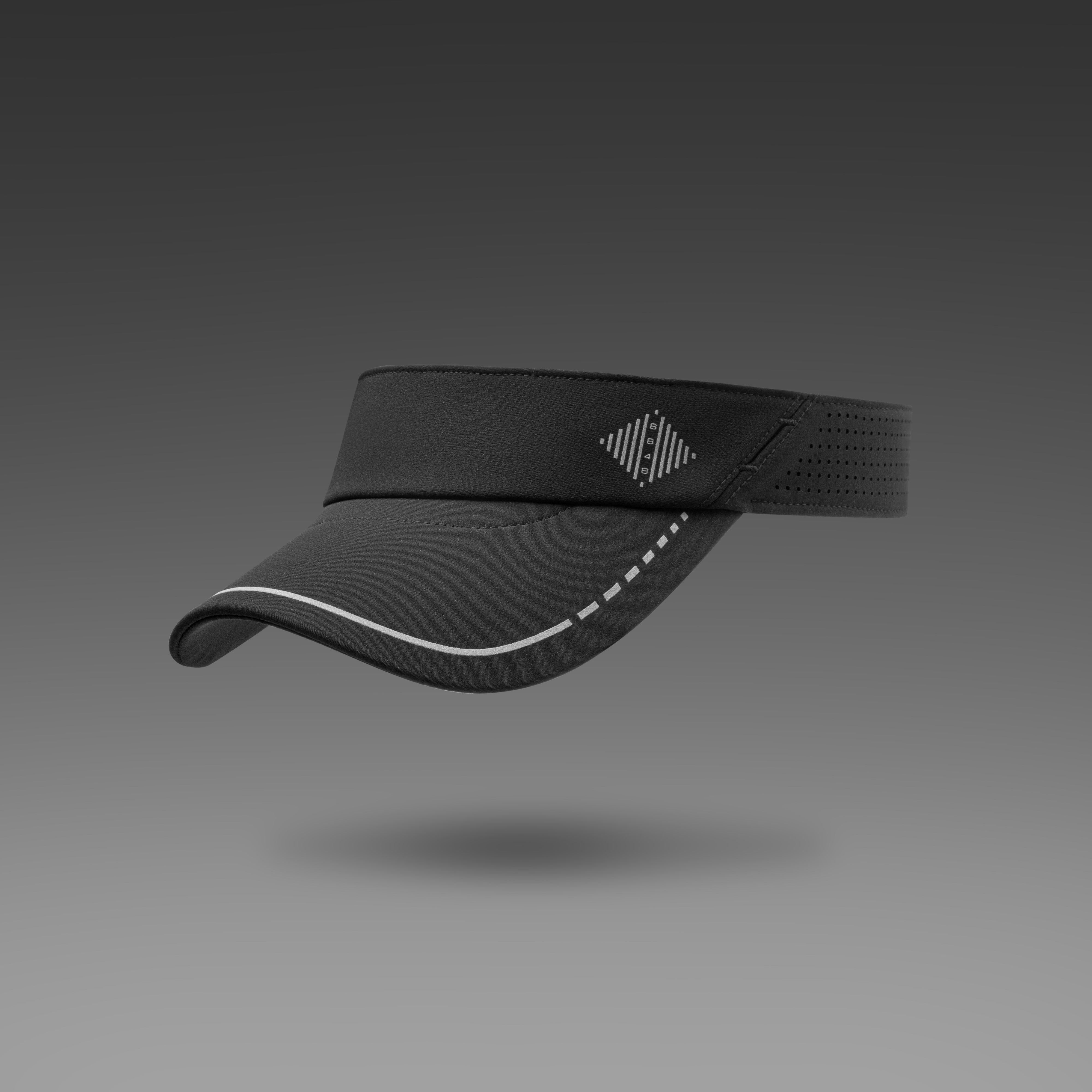 VISORS