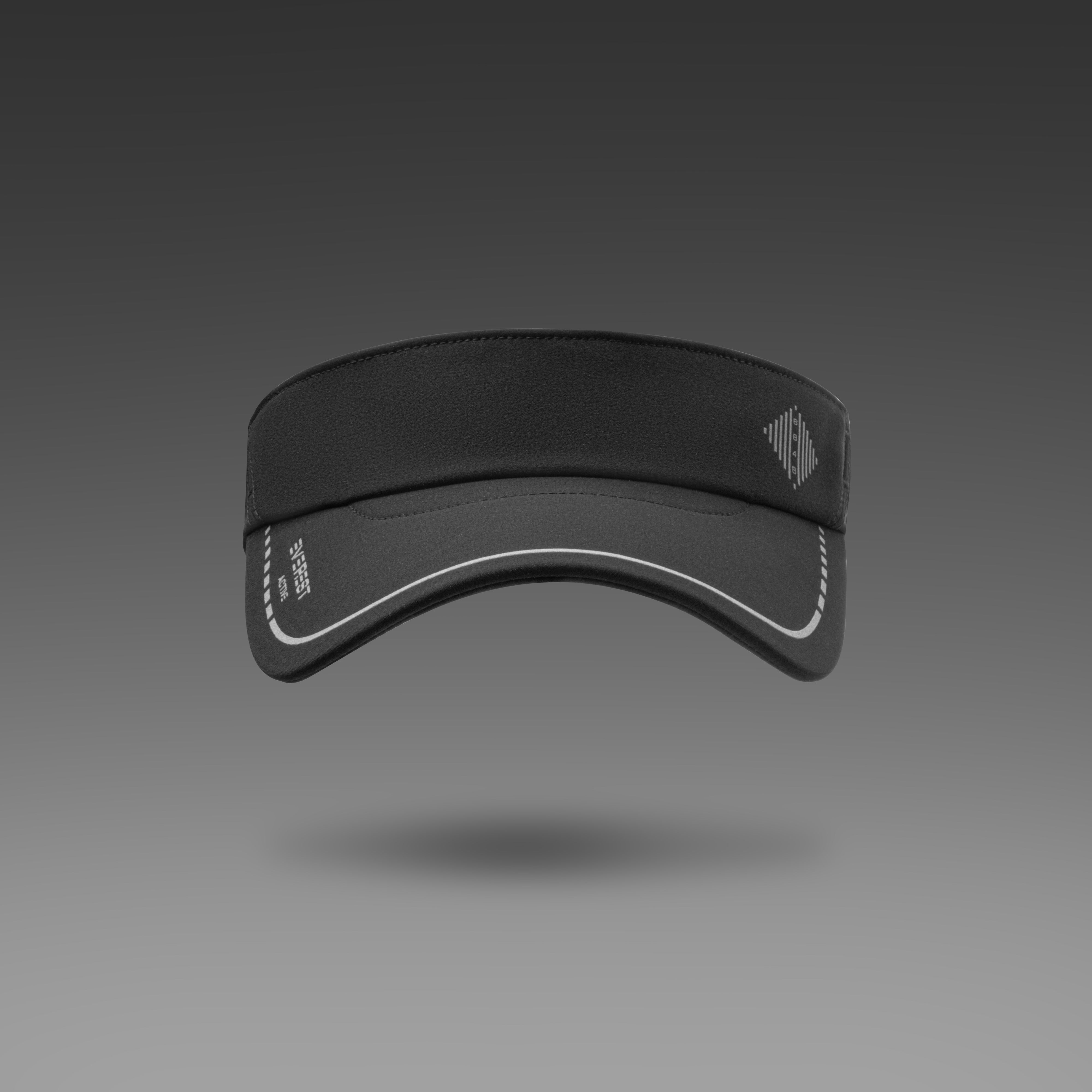 VISORS